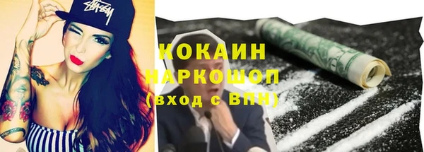 гашик Алексеевка
