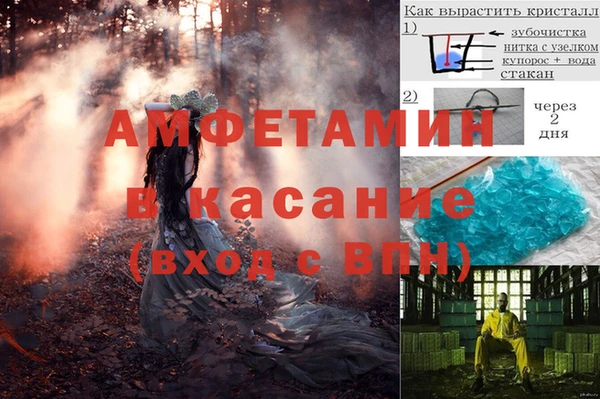 гашик Алексеевка