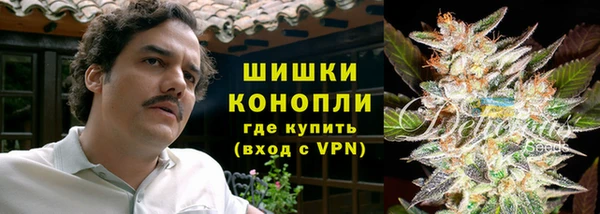 гашик Алексеевка