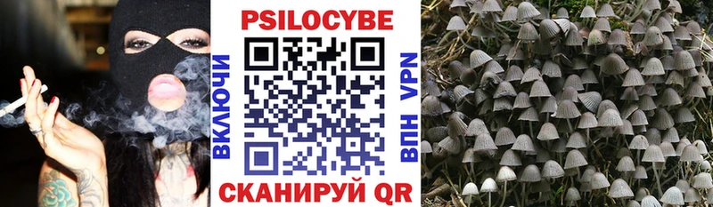 Купить где  Сим  Галлюциногенные грибы MAGIC MUSHROOMS 